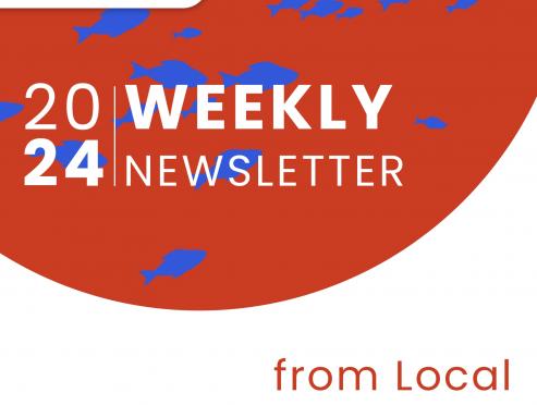 Official 2024 Weekly Newsletter - CASEAMEX